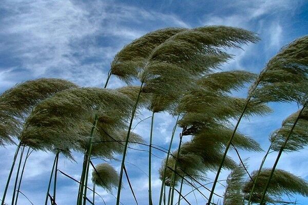 وزش باد شدید و گردوخاک در شرق ایران/ دمای بیشتر مناطق کشور و تهران گرم میشود وزش باد