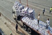 جابه‌جایی محموله برنج توسط ناوگان حمل و نقل استان بوشهر/  ۱۴۱ هزار تن کالای اساسی در سال گذشته حمل شد