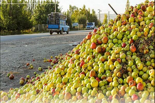 استمرار بازرسی گشت روزانه برای برخورد با متخلفان در محورهای ارتباطی آذربایجان غربی  4.png