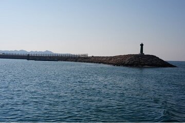جزیره لارک