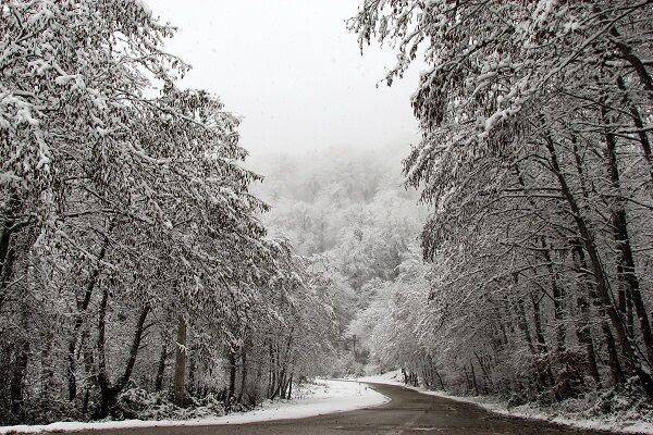 ویدئو| عملیات راهداری زمستانی در سطح محورهای کوهستانی شهرستان گلوگاه توسط راهداران استان مازندران مازندران