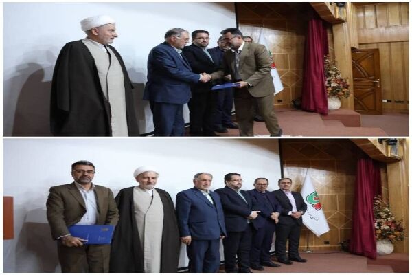 ایوب کرد