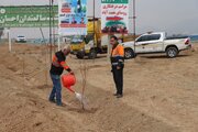 ببينيد | اجراي طرح باغ‌راه در شهرستان نجف‌آباد به مناسبت روز درختكاري