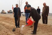 ببينيد | اجراي طرح باغ‌راه در شهرستان نجف‌آباد به مناسبت روز درختكاري