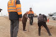 ببينيد | اجراي طرح باغراه در شهرستان نجفآباد به مناسبت روز درختكاري