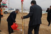 ببينيد | اجراي طرح باغ‌راه در شهرستان نجف‌آباد به مناسبت روز درختكاري