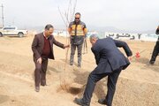 ببينيد | اجراي طرح باغ‌راه در شهرستان نجف‌آباد به مناسبت روز درختكاري