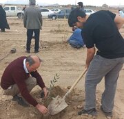 ببینید| غرس نخستین نهال‌ها پارک جنگلی زاهدان به همت اداره کل راه و شهرسازی استان سیستان و بلوچستان