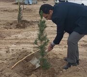 ببینید| غرس نخستین نهال‌ها پارک جنگلی زاهدان به همت اداره کل راه و شهرسازی استان سیستان و بلوچستان