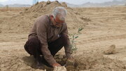 ببینید| غرس نخستین نهال‌ها پارک جنگلی زاهدان به همت اداره کل راه و شهرسازی استان سیستان و بلوچستان