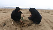 ببینید| غرس نخستین نهال‌ها پارک جنگلی زاهدان به همت اداره کل راه و شهرسازی استان سیستان و بلوچستان