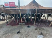 ببینید| بازدید نوروزی رئیس اداره هماهنگی حمل و نقل راه و شهرسازی سیستان وبلوچستان از مجتمع های خدمات بین راهی شمال استان