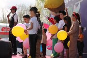 پویش اراک نه به تصادف