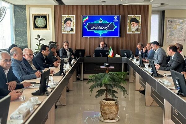 کاهش بیش از ۳۰ درصدی تلفات جادهای در استان خراسان جنوبی  کمیسیون ایمنی.jpg