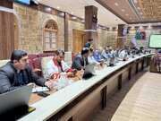 نقاط پرحادثه جاده‌های بوشهر شناسایی و ایمن شود