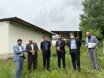 نظرخانی