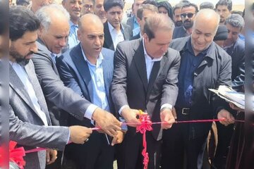 بازدید