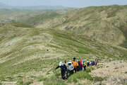 صعود همکاران به کوه چهل چشمه