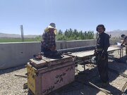 بازيد دكتر ارجايي