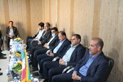 بازدید