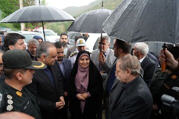 بازدید