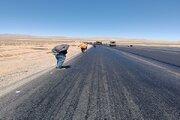 ری آباد