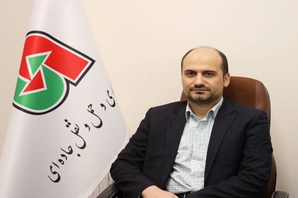 Thorough Plan for Enhancing 10 Border Crossings Underway آقای حدادزادگان