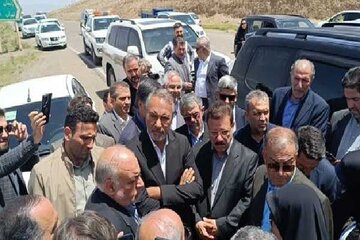 باردید