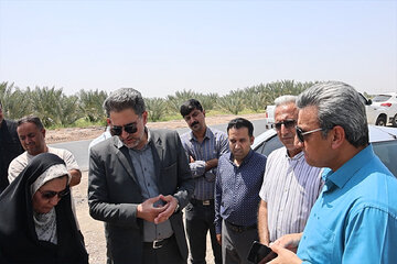 جنوب کرمان 3