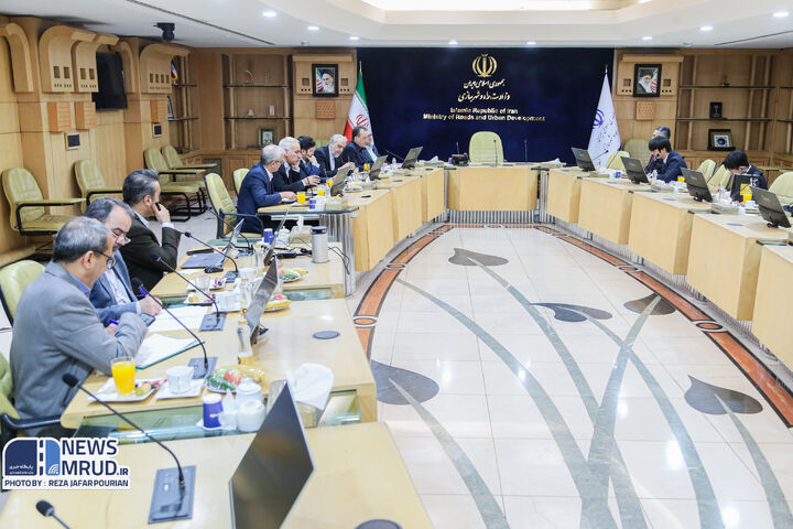 ببینید | دیدار سفیر ژاپن در تهران با معاون شهرسازی و معماری و مدیرعامل سازمان بنادر و دریانوردی
