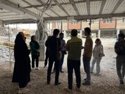 ببینید | بازدید متقاضیان پروژه ۸۰ واحدی مجریان شهرساز اترک در خراسان شمالی