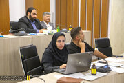 کمیسیون ماده 5