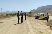 نردین