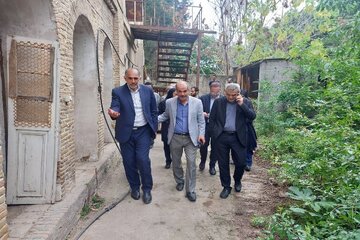 بازدید