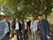 راه و شهرسازی گلستان