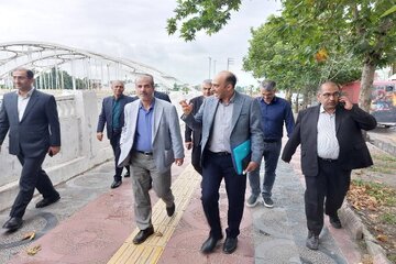 بازدید