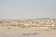 ببینید | بازدید مدیرکل راه  وشهرسازی استان سمنان از اراضی و طرح های راهسازی شهرستان سرخه