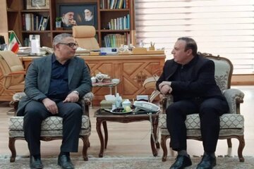دیدار
