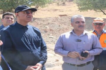 بازدید