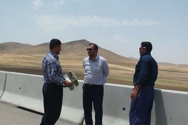 نیوجرسی رزن