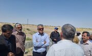 ببینید| بازدید معاون استاندار و مدیر کل راه و شهرسازی سیستان و بلوچستان از فرمانداری هامون و سایت نهضت ملی مسکن محمدآباد