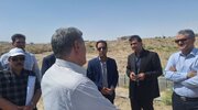 ببینید| بازدید معاون استاندار و مدیر کل راه و شهرسازی سیستان و بلوچستان از فرمانداری هامون و سایت نهضت ملی مسکن محمدآباد
