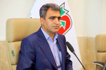 علی زندی فر