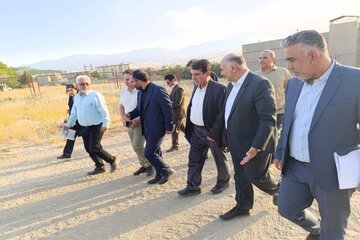 بازدید