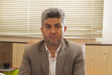 افشاری پور