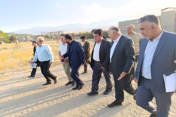 بازدید