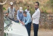 رفع تصرف میگون