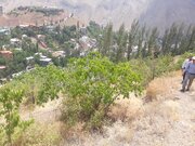 رفع تصرف میگون
