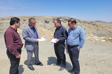 بازدید سامن