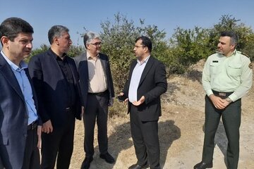 راه و شهرسازی گلستان